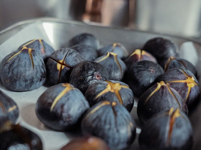 Vivant - Le comptoir au Touquet 