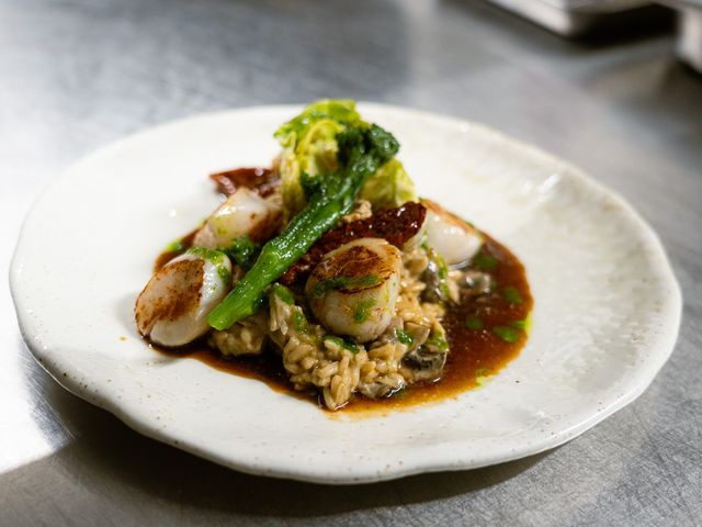 Vivant - Le comptoir au Touquet 